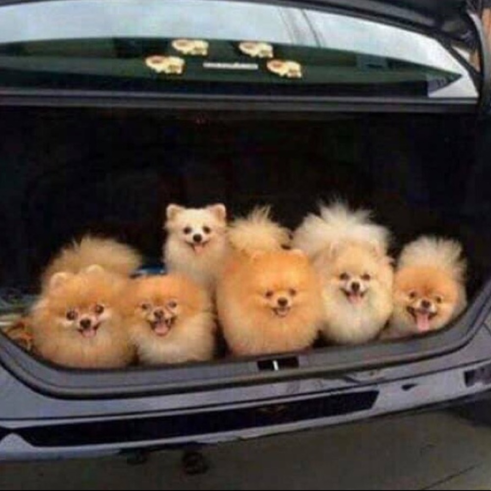 Bundles are better!